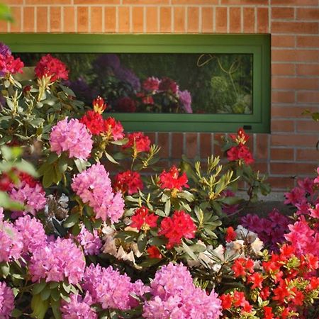 Villa Delle Ortensie Tavagnacco Εξωτερικό φωτογραφία
